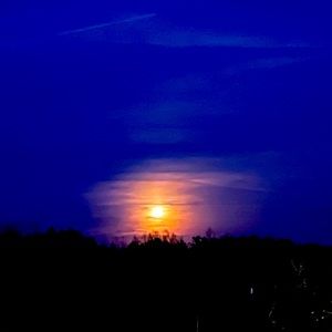 Meet your Posher, Gooner